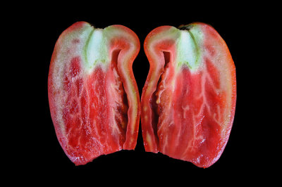 tomate (interior)