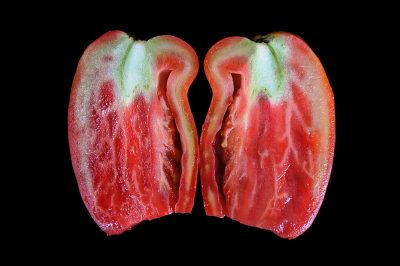 tomate (interior)