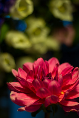 IMG_0178 medium.jpg