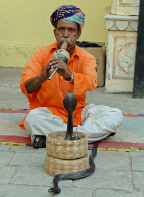 I bet you were hopinng for a picture of a snake charmer...