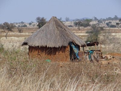 Thatch roof house in Zimbabwe