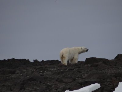 He looked us over and left.