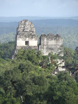 Guatemala:  the tops of two of Tikal's temples soaring above the jungle