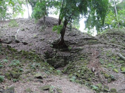 When left covered, Mayan ruins are completely covered in trees and shrubs.