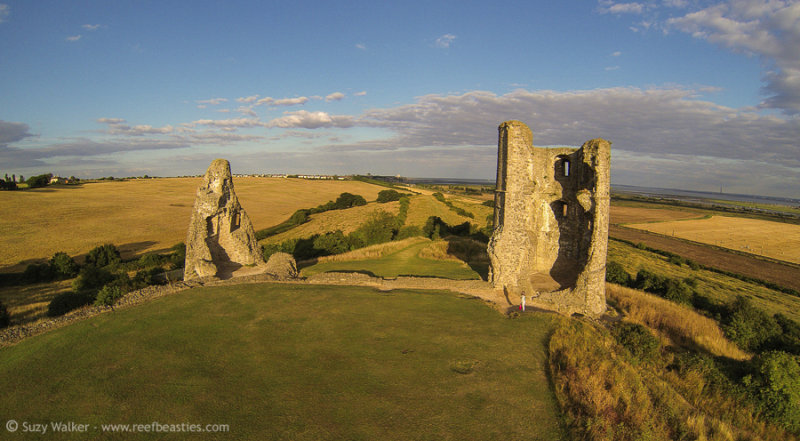 Hadleigh Castle Aerial 6