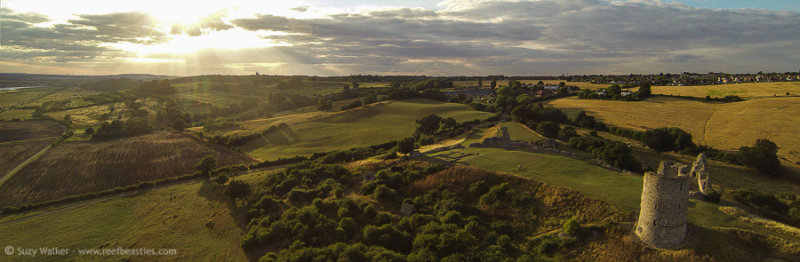 Hadleigh Castle Aerial 2