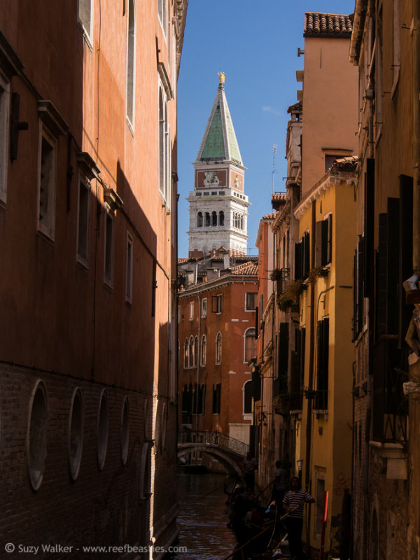 Venice Buildings