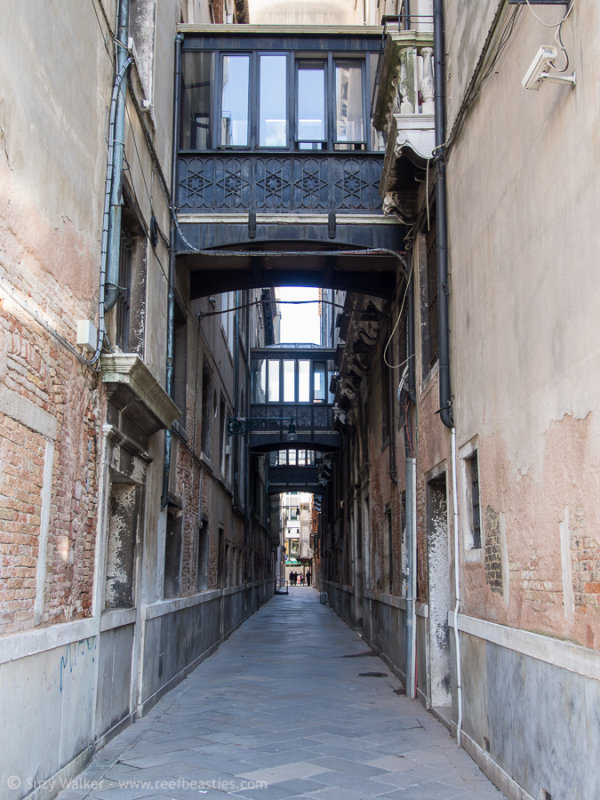 Venice Buildings