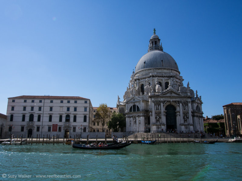 Grand Canal
