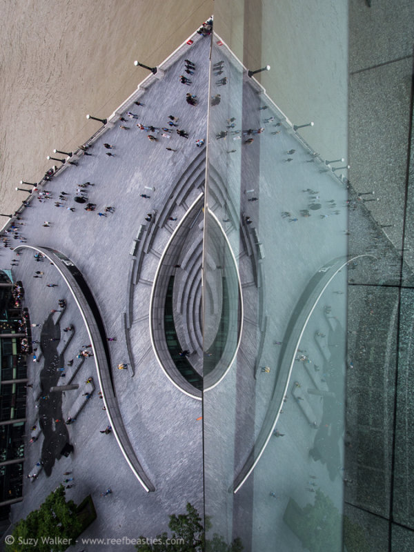 View From City Hall - Open House