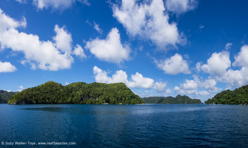 Panorama - Aljui Bay