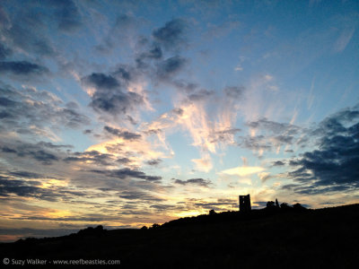 Hadleigh Castle sunset