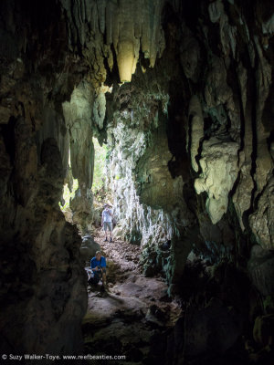 Bat Cave - Farondi