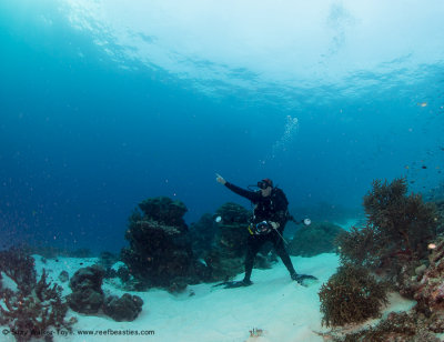 Jarret pointing - Dampier Strait (EM1)