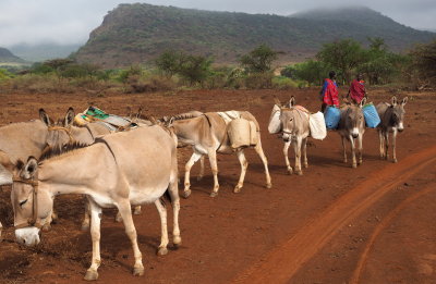 Maasai women with their transport. 