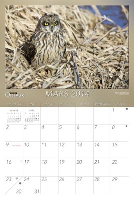2014_03 -- Calendrier de Mars -- March Calender -- Qubec Oiseaux