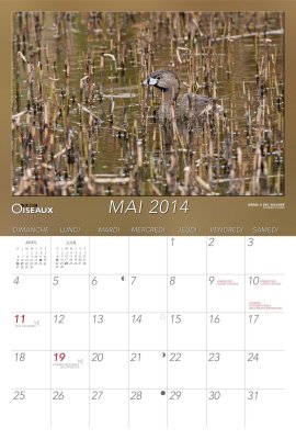 2014_05-Mai -- Calendrier Qubec Oiseaux