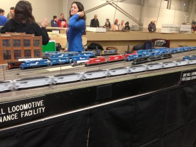 IMG_9772.JPG.jpg