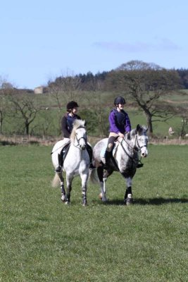little_whittington_2014