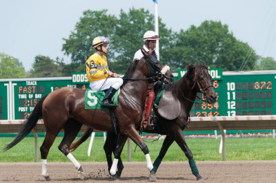 Miss Marti, Jonathan Zayas Riding