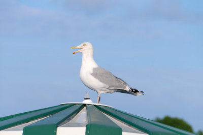 g9/65/827365/3/152149288.DH44vTnG.jpg