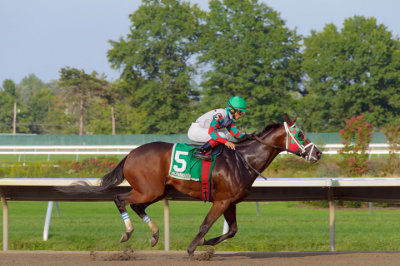 Ribo Bobo in the Icecapade Stakes