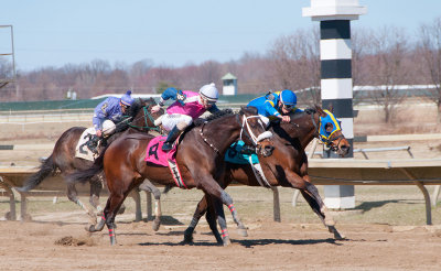 Neck and Neck