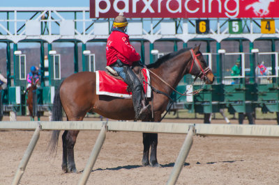 Thoroughbred Horse Racing at Parx Racing