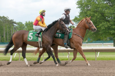 Lucky Liberty/Orlando Bocachica