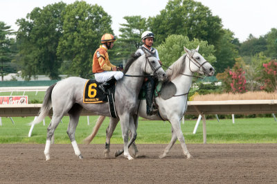 Glacken Too/Abel Castellano, Jr