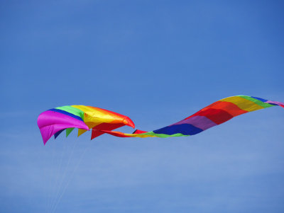 Let's Go Fly A Kite!