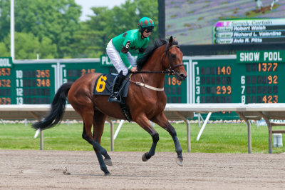 Norse Star and Gustav Dahl