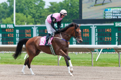 Simply Certain and Robert Walsh