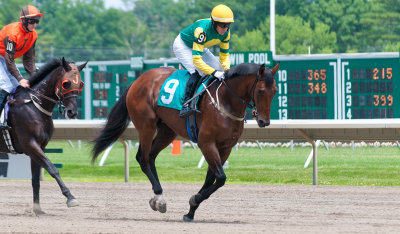 Cash Crop and William McCarthy