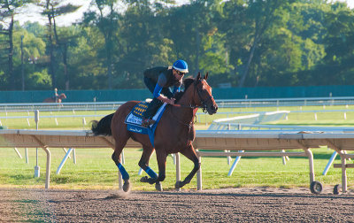 American Pharoah