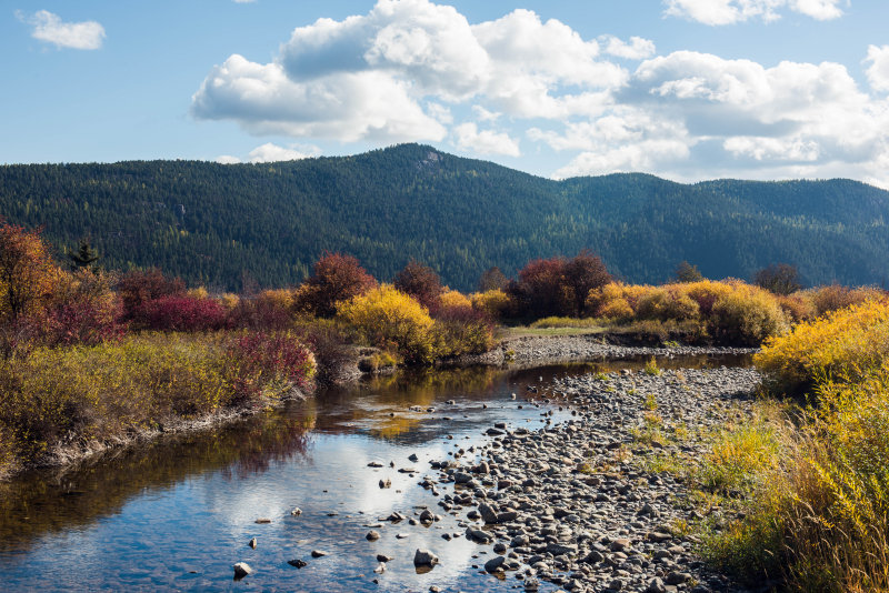 Logan Creek