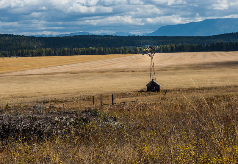 Windmill 