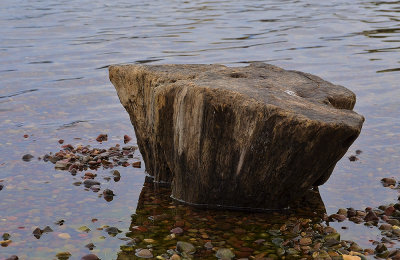 Stump at Flathead Lake - Wayfarers State Park