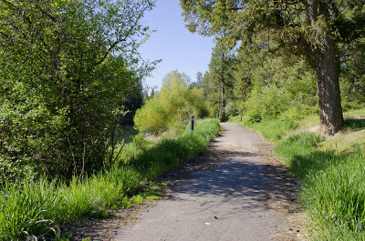 Rivers Edge Trail 
