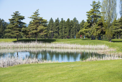 Teeing Off On #12