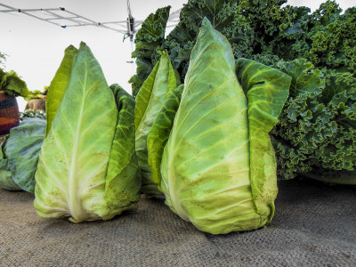 Who Knew?  Triangular Cabbages