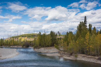 North Fork of the Flathead River