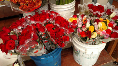 Flowers at the Market