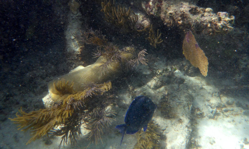 Bacalar - Playa del Carmen
