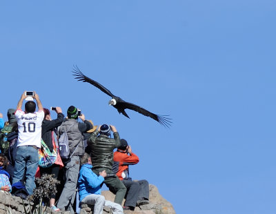 Colca_33.JPG