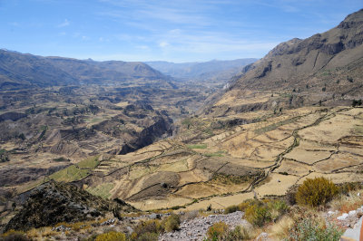 Colca_47.JPG