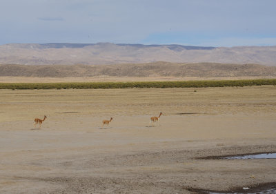 Uyuni_04.JPG