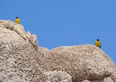 Uyuni_22.JPG
