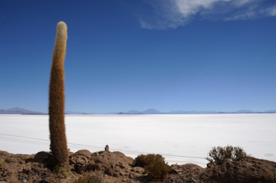 Uyuni_33.JPG