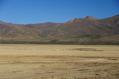 Potosi_28.JPG